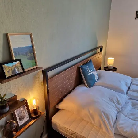 3 Zimmer Ferienwohnung Harter Brocken Sankt Andreasberg Exterior photo