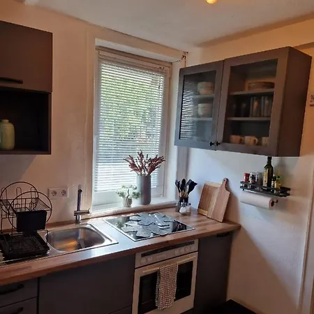 3 Zimmer Ferienwohnung Harter Brocken Sankt Andreasberg Exterior photo