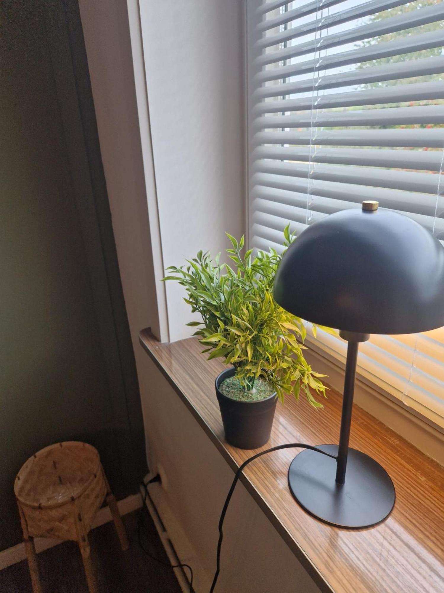 3 Harter Brocken Appartement